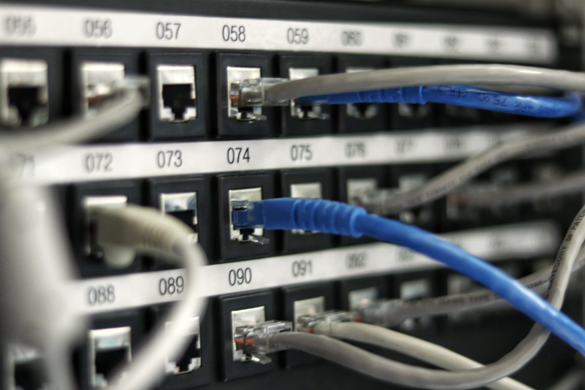 Network Setup & Management